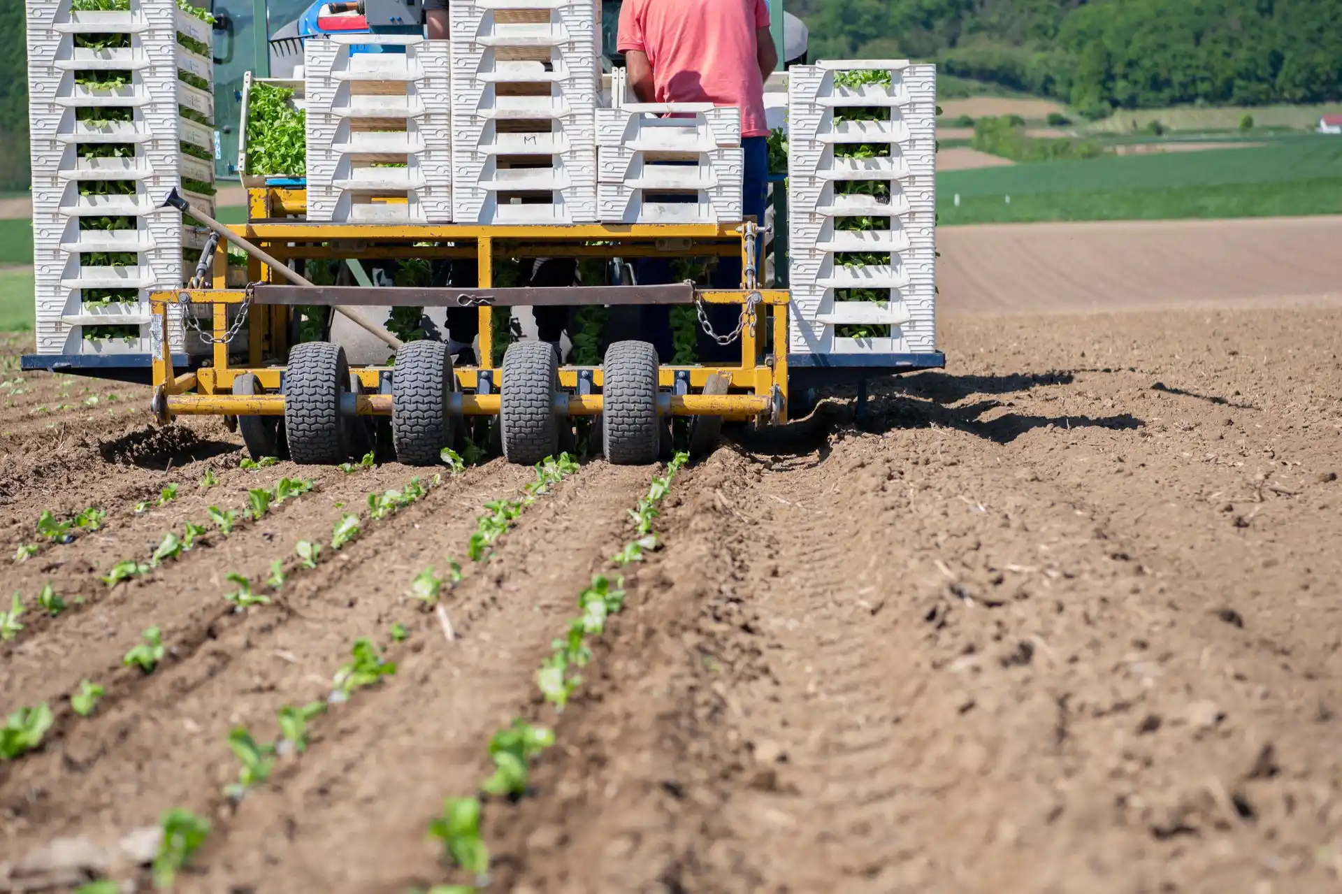 Direktvermarktung für Landwirte